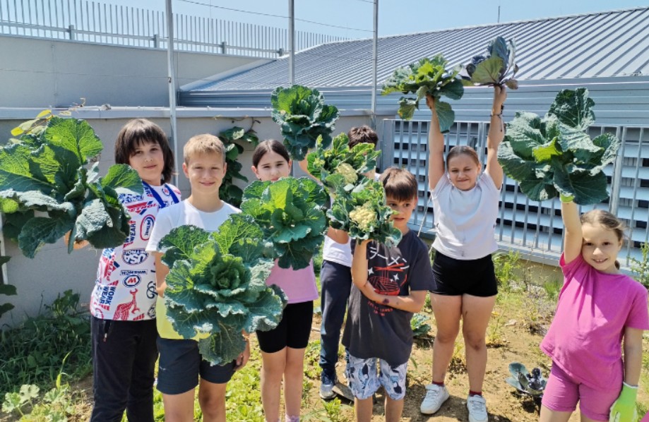 Naš šolski vrt je med nagrajenci projekta Šolska VRTilnica